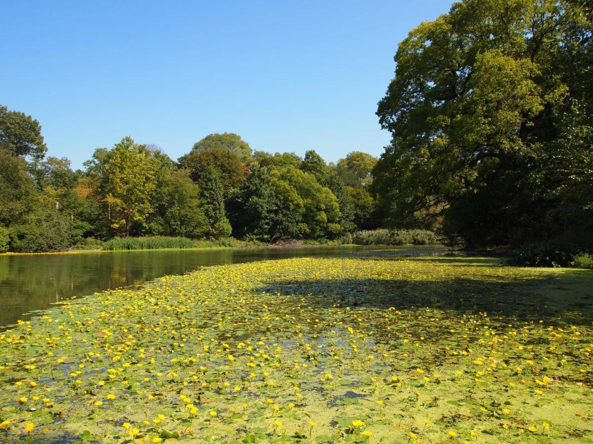 Prospect Park Apartment New York Ngoại thất bức ảnh